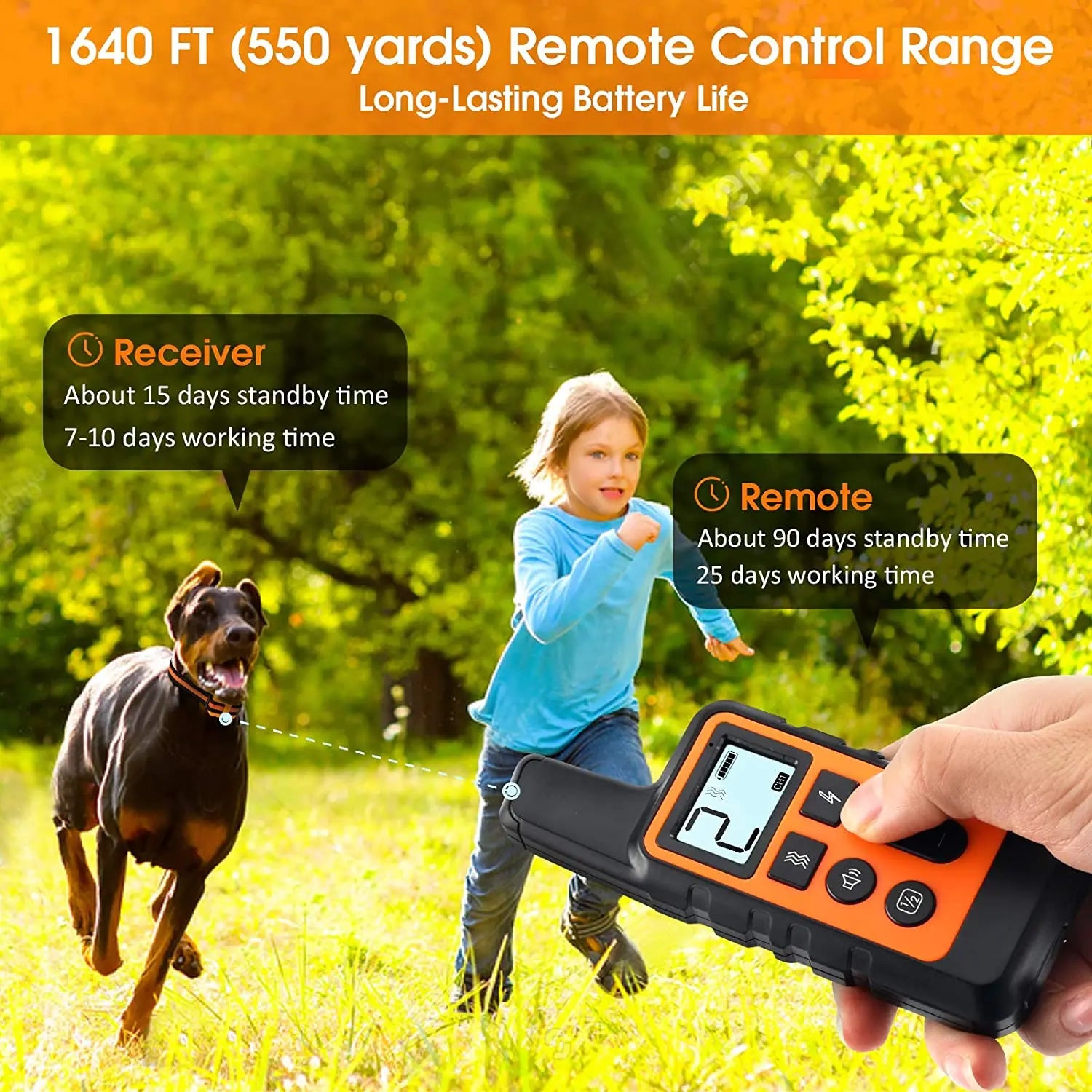 Rechargeable Dog Training Collar