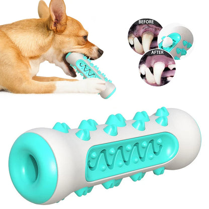 Dog Toothbrush Toy