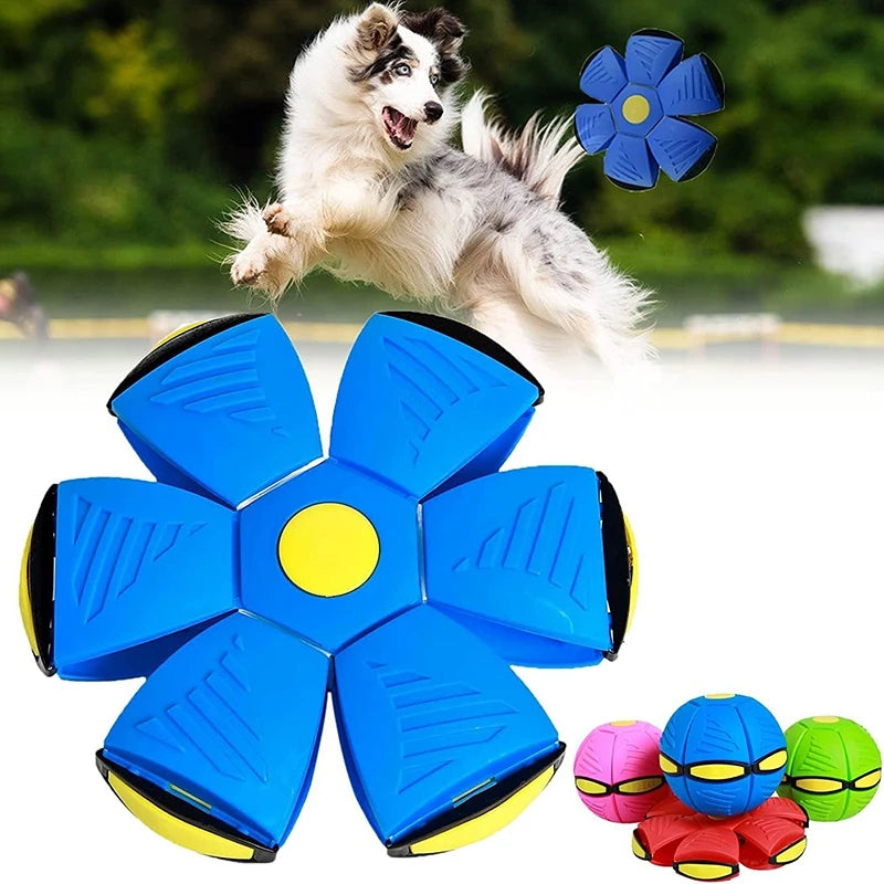 Magic Flying Saucer Dog Toy