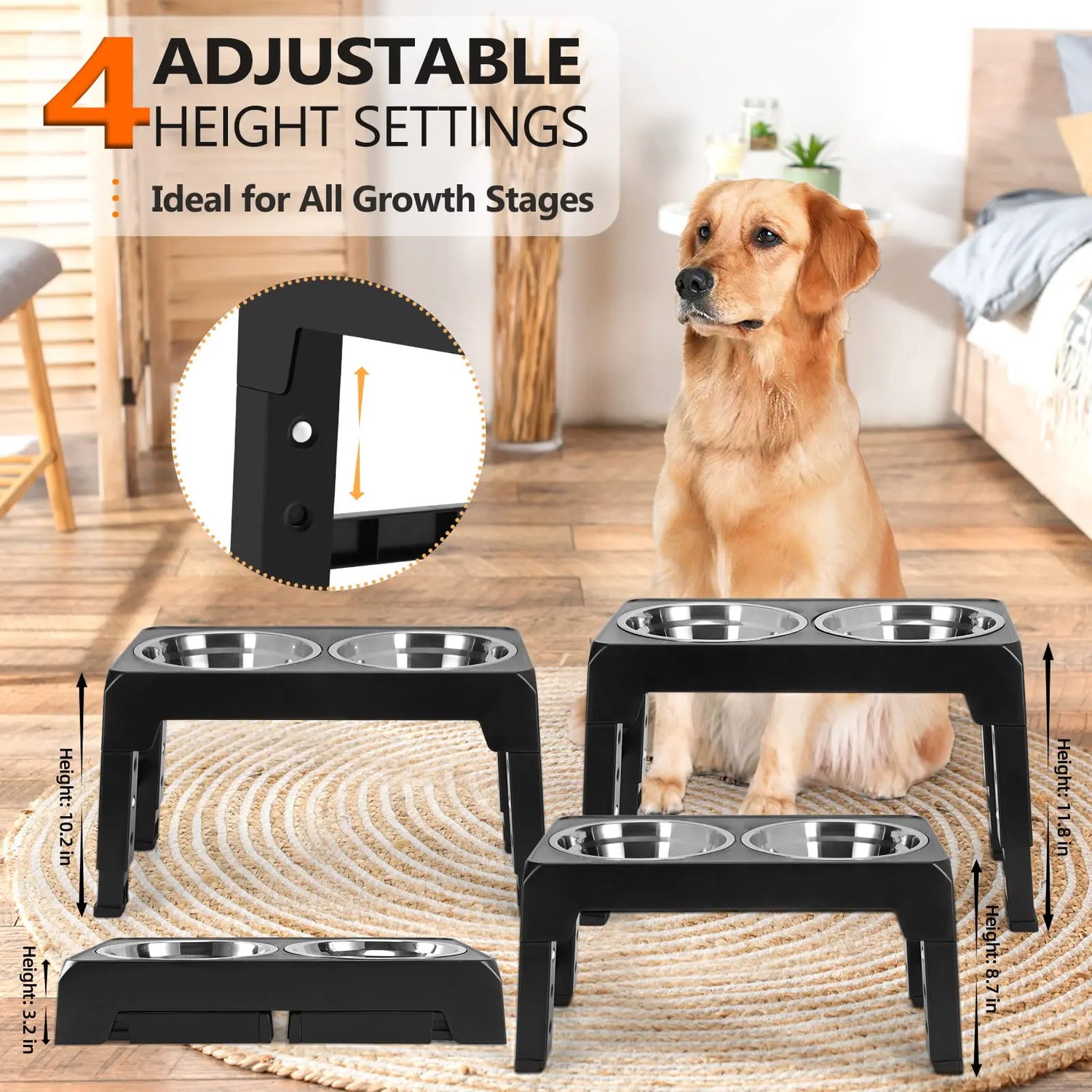 Elevated Dog Feeding Station