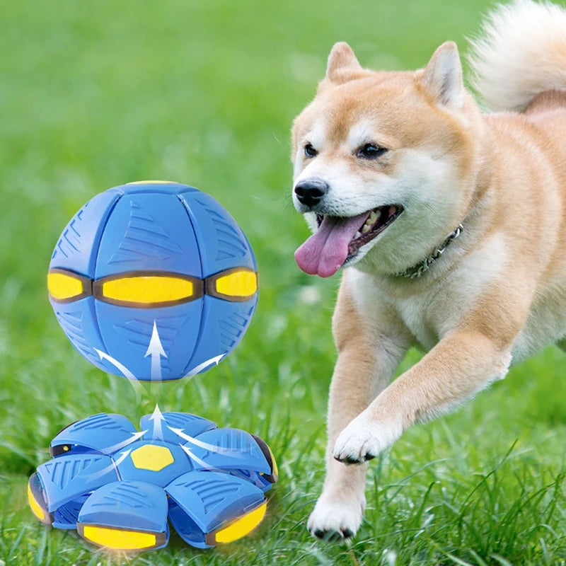 Magic Flying Saucer Dog Toy