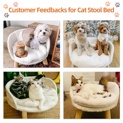 Luxury Cat Bed