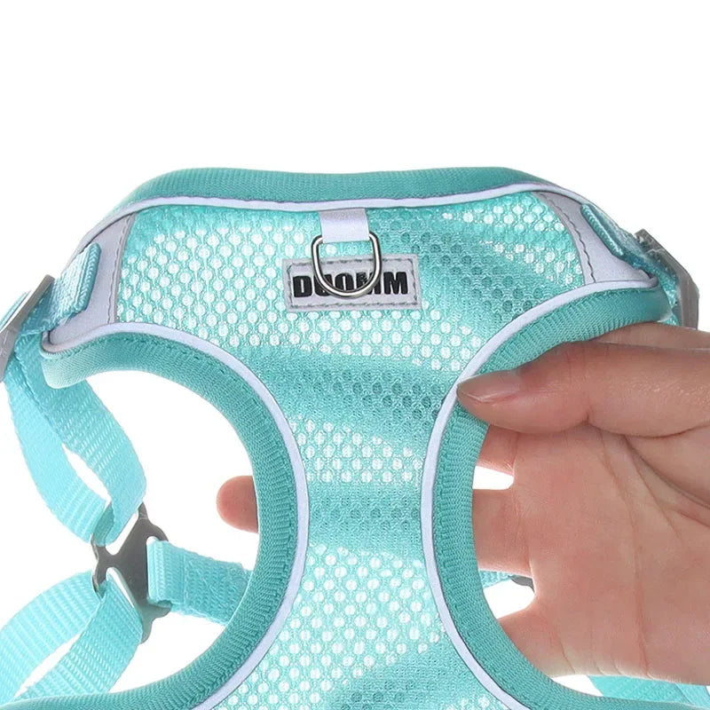 Dog Harness Leash Set