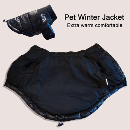 Winter Pup Jacket