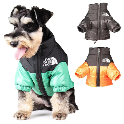 Winter Pup Jacket