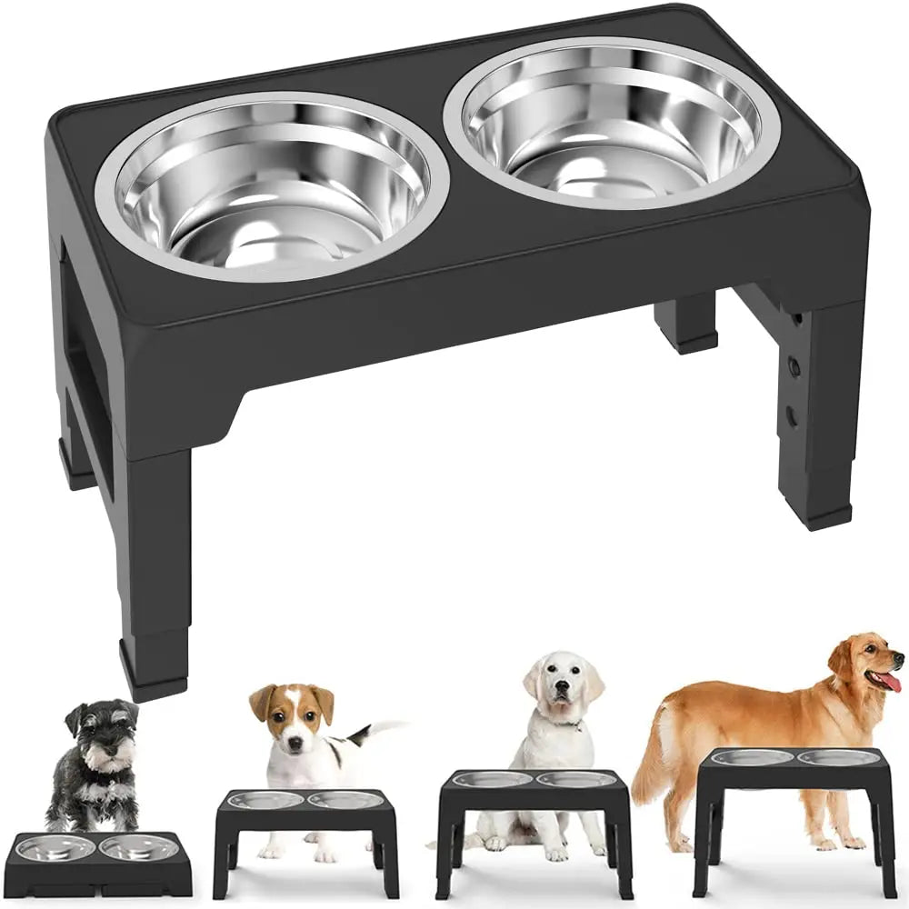 Elevated Dog Feeding Station