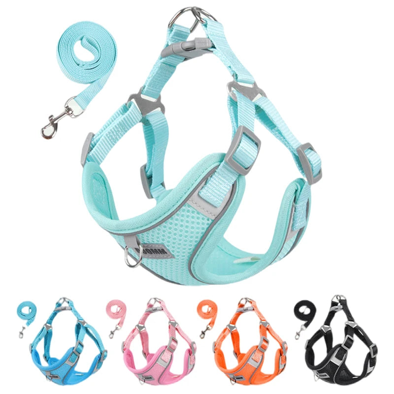 Dog Harness Leash Set