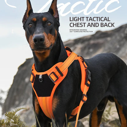 Reflective Comfort Harness