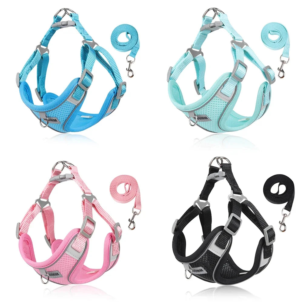 Dog Harness Leash Set