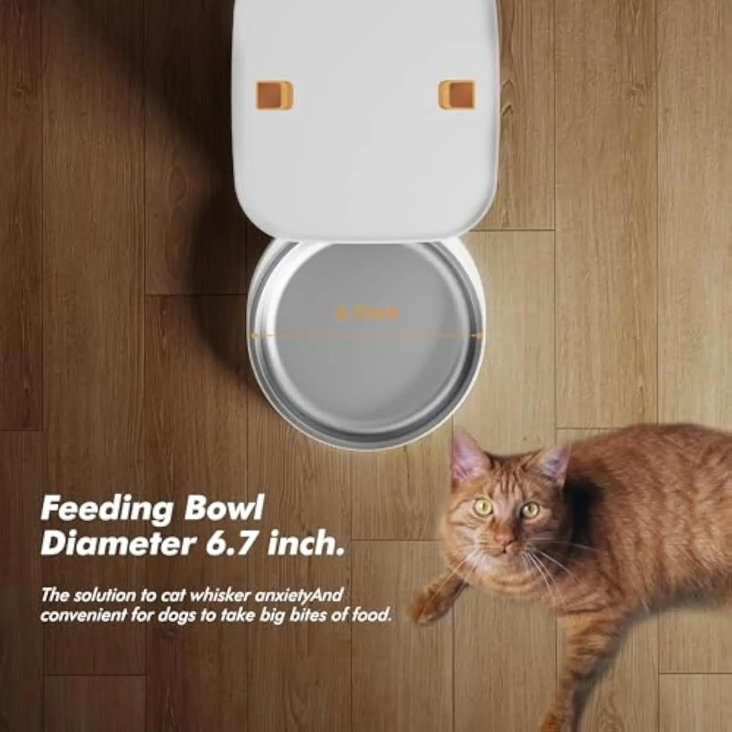 8L Automatic Cat Feeder with 1080p Camera