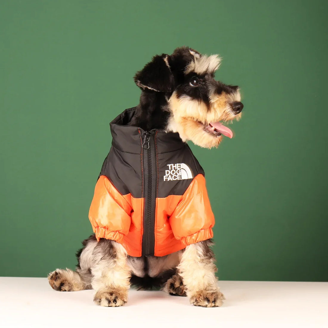 Winter Pup Jacket