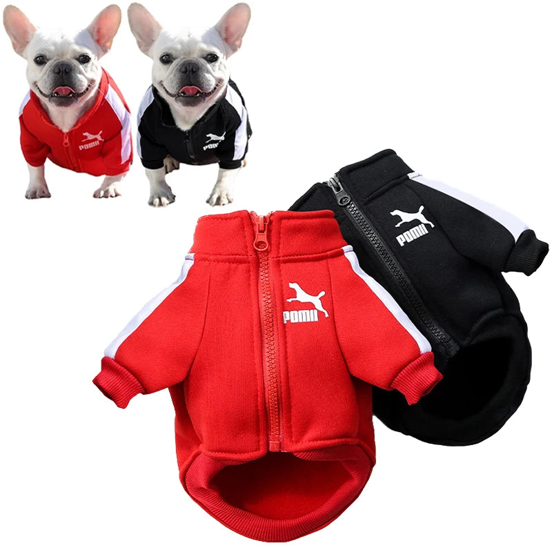 Baseball Dog Jacket