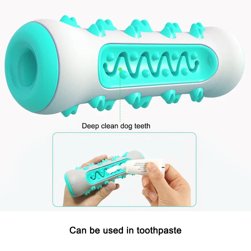 Dog Toothbrush Toy