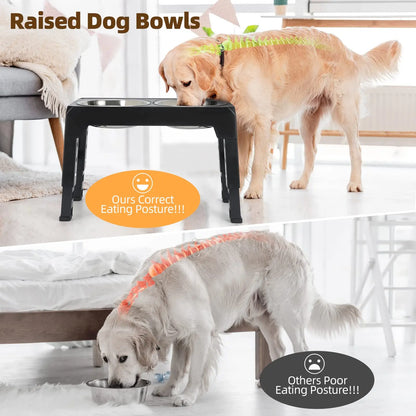 Elevated Dog Feeding Station