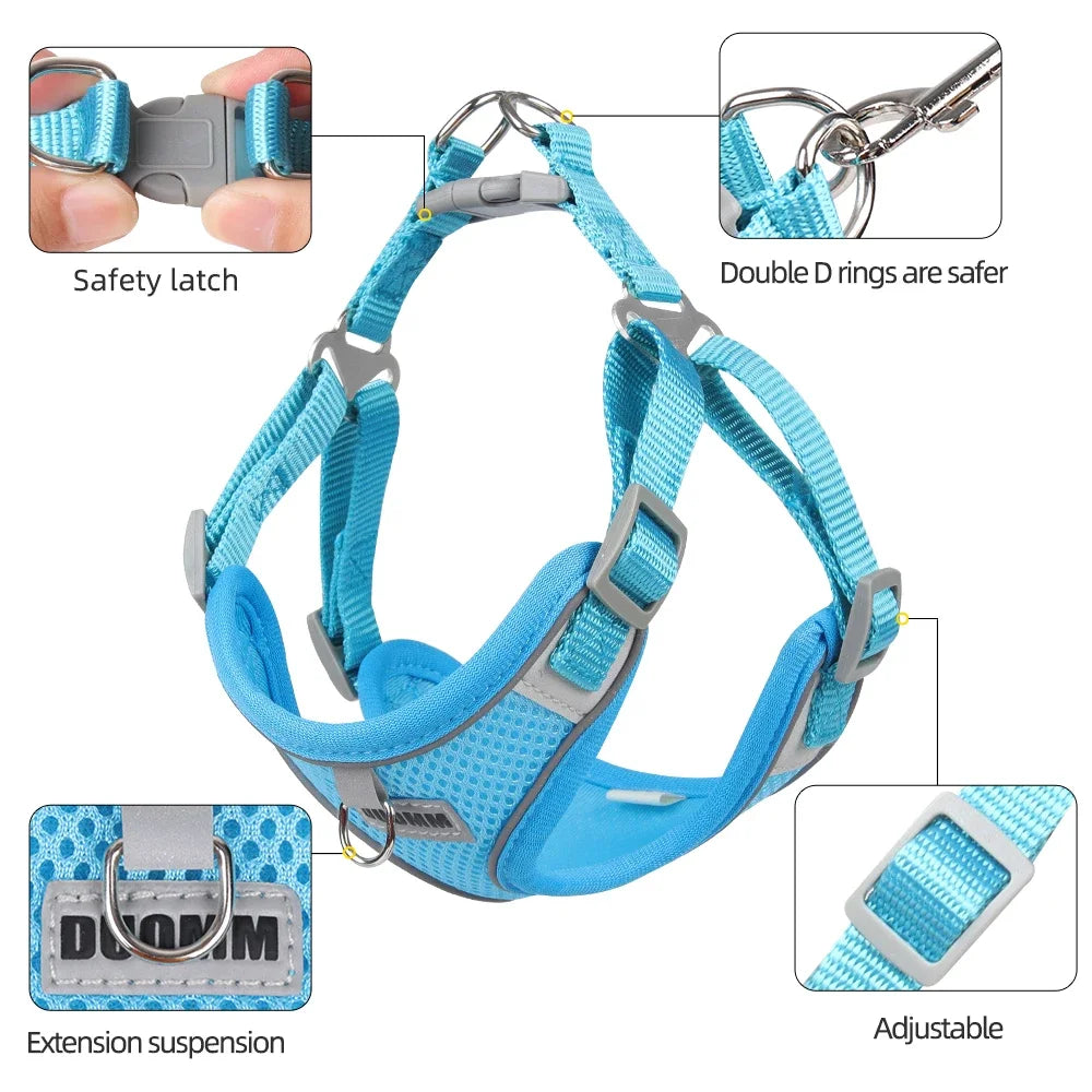 Dog Harness Leash Set