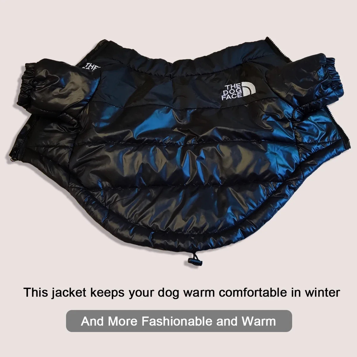 Winter Pup Jacket